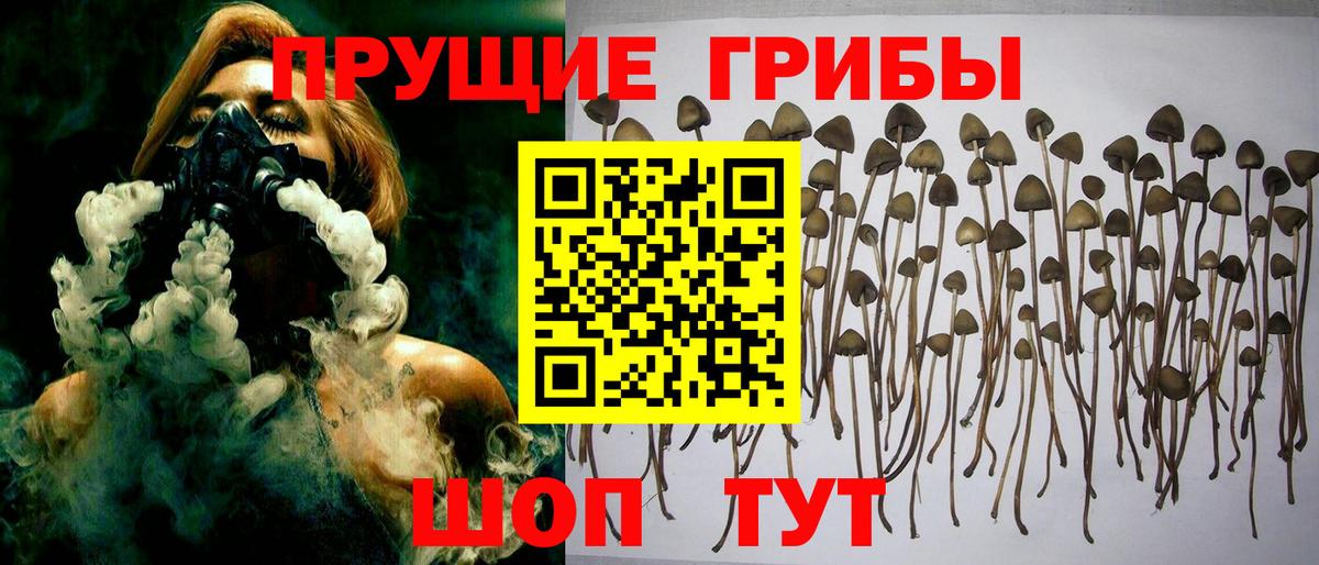 Галлюциногенные грибы Magic Shrooms  Галлюциногенные грибы Psilocybe  Шахты  даркнет сайт  Вход с VPN 